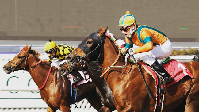 Repasa toda la actualidad de la Hípica nacional en El Partidor