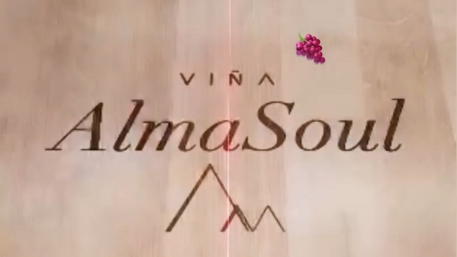 Alexis Sánchez exhibió imágenes de Chile, Italia y Argentina en presentación de Viña AlmaSoul