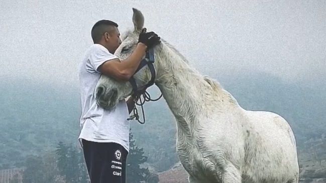 Alexis Sánchez presentó a una nueva integrante de su familia