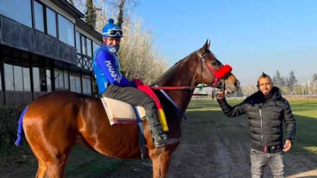 Arturo Vidal tendrá su primer remate del Haras Il Campione