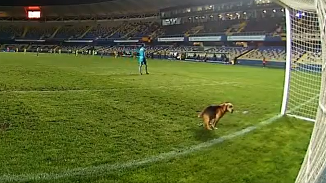 Pausa para un “regalo”: Perrito defecó en la línea del arco en el clásico Fernández Vial-U. de Conce