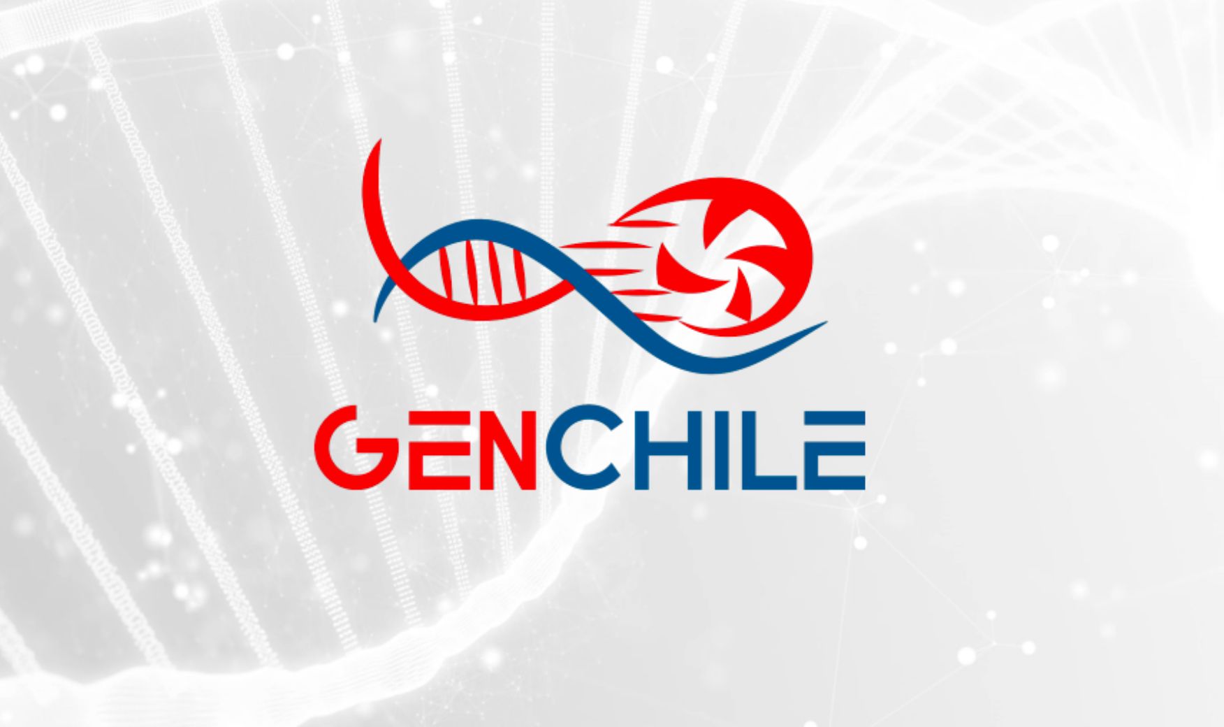 Federación de Chile lanzó Plan Nacional de fútbol formativo