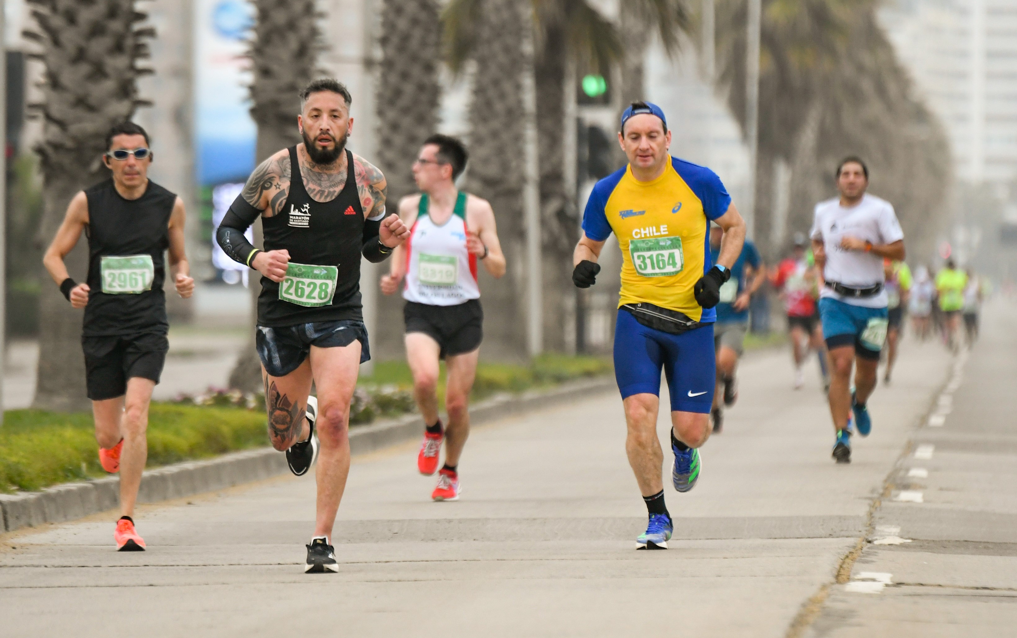 Concón albergará inédito desafío running de 10 kilómetros