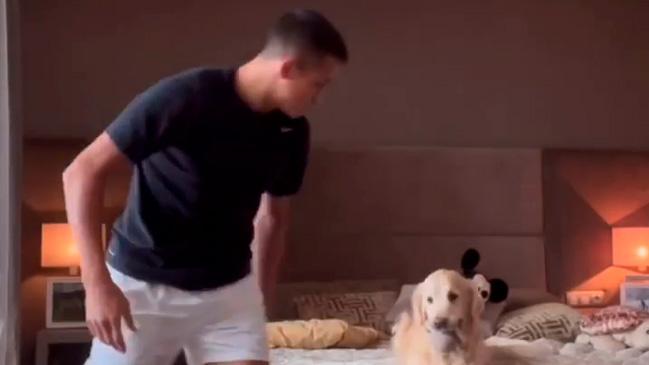 “En mi pieza hay un ladrón”: La divertida publicación de Alexis y sus mascotas