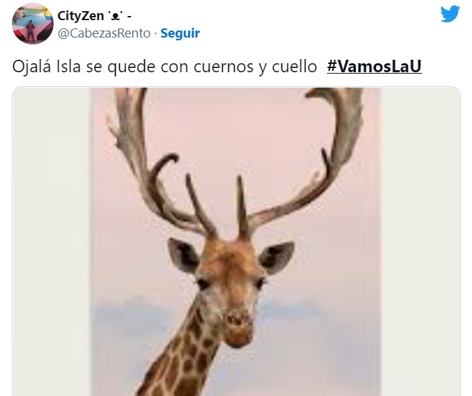 Duros con Isla y Dituro: Los memes no perdonaron a la UC tras su derrota con la U