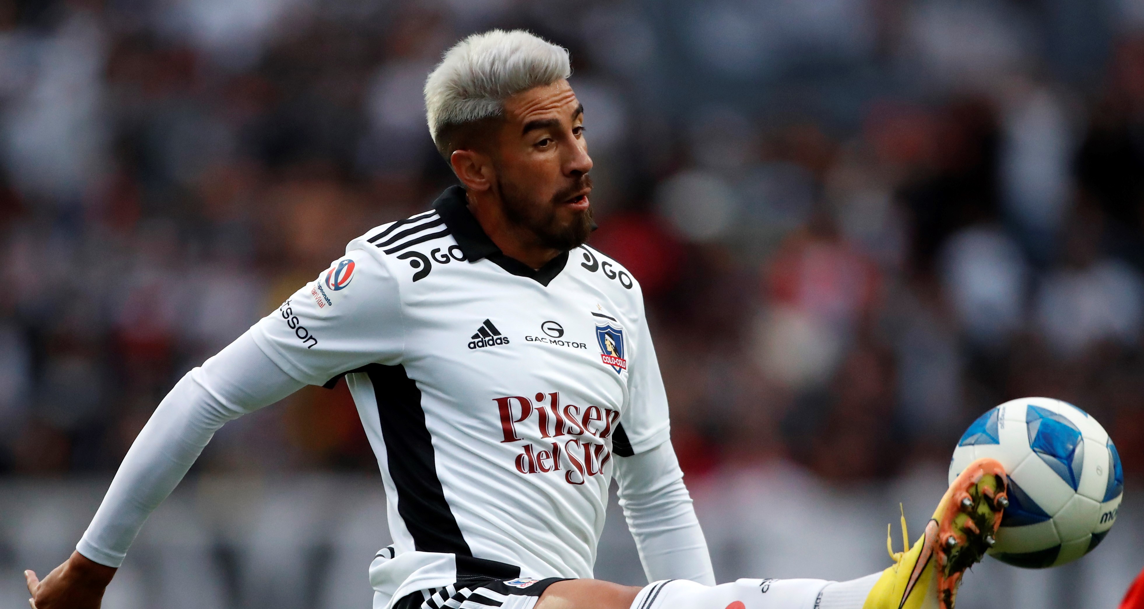 “Chilealbo”: Colo Colo piensa en el amistoso ante Real Betis en Concepción