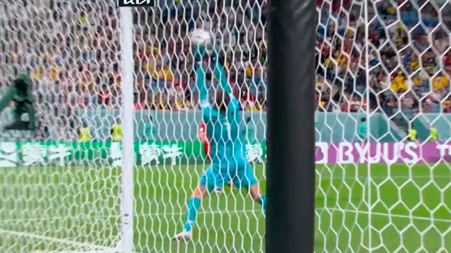 La espectacular atajada del australiano Matt Ryan para evitar el festejo de Dinamarca