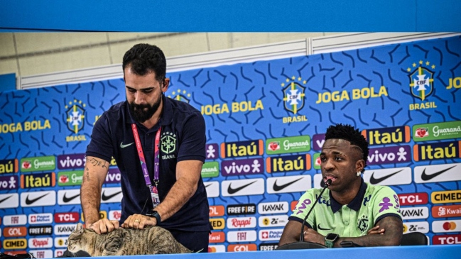 ¿Supersticiosos? Un gato se coló en la conferencia de prensa de Vinicius Junior