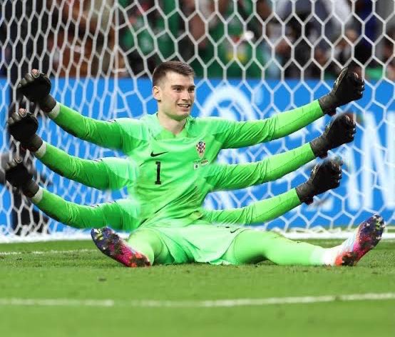 Los gatos se tomaron los memes tras la eliminación de Brasil a manos de Croacia en Qatar 2022