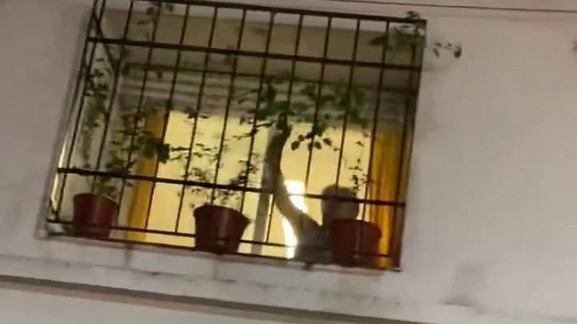 “Abuela de Messi” recibió ovación desde su balcón en medio de las celebraciones por triunfo de Argentina