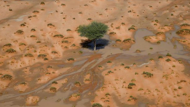 Falleció atropellado en el Dakar un espectador de origen italiano