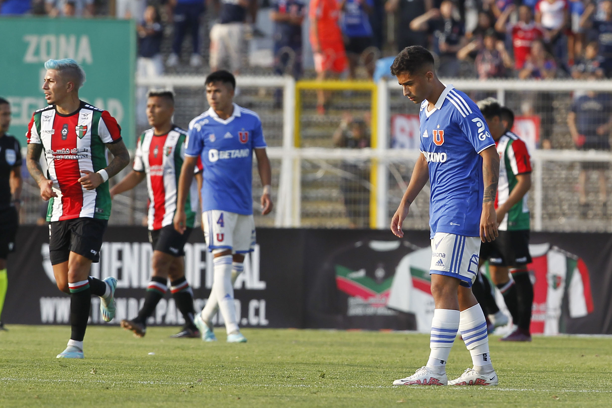“En la ruta del León”: Los ecos de la derrota de la U ante Palestino en La Cisterna