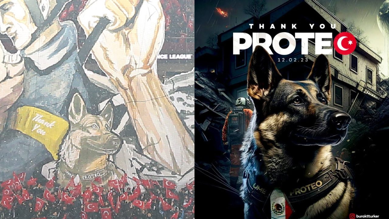 Trabzonspor homenajeó a Proteo, el perro rescatista mexicano que murió en Turquía