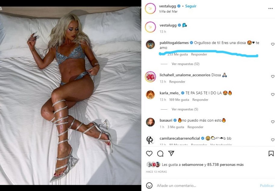 La enamorada aprobación de Pablo Galdames al look de Vesta Lugg en la alfombra roja de Viña