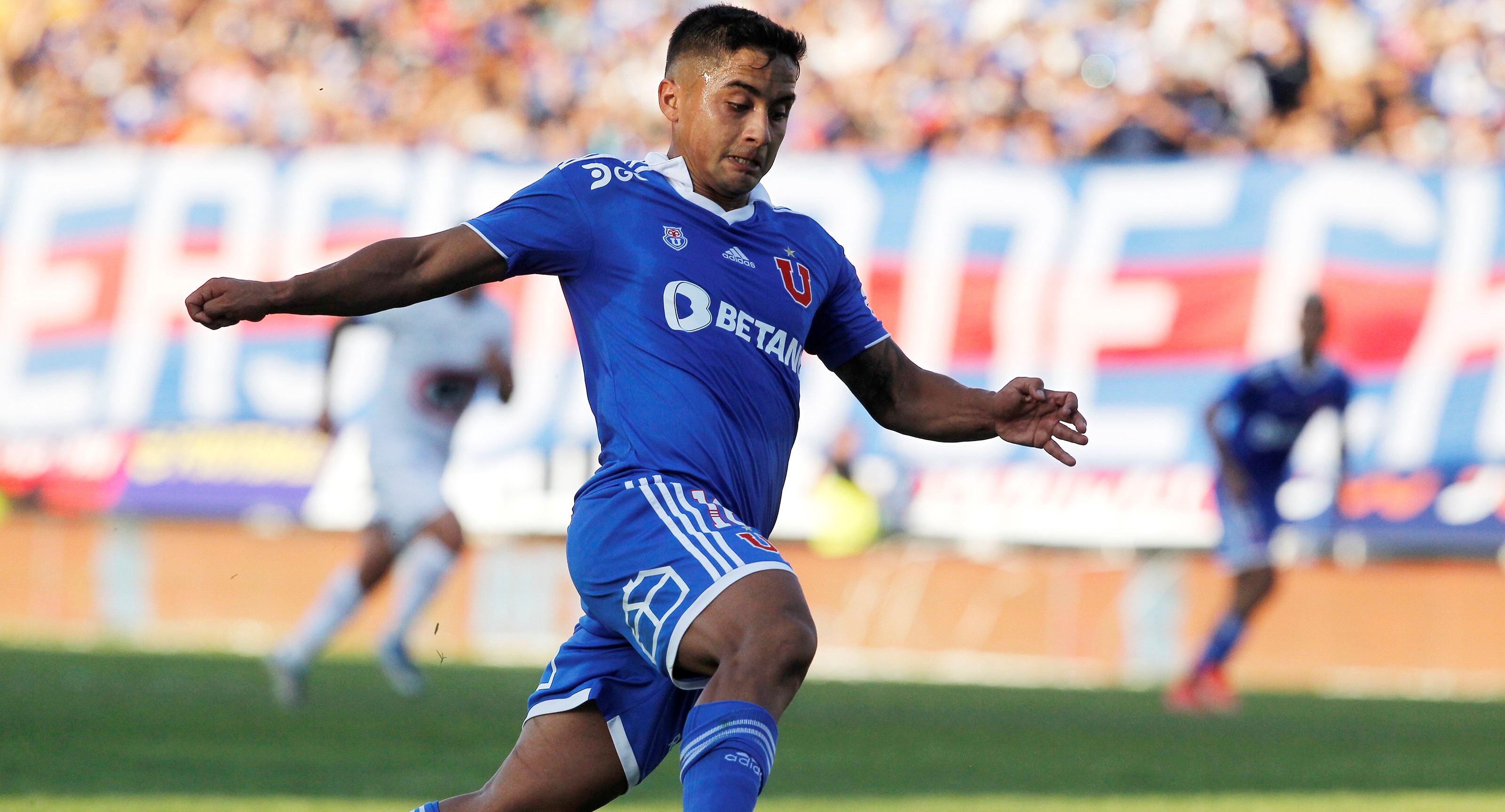 Nicolás Guerra acompañará a Leandro Fernández en el ataque de la U ante Curicó