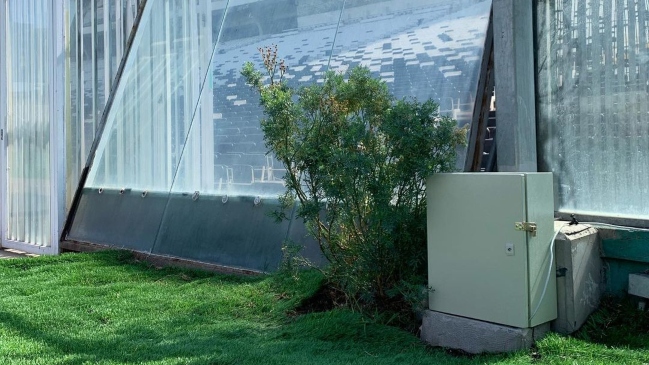 ¿Volvió la cábala? Apareció otra ruda en la cancha del Estadio Monumental