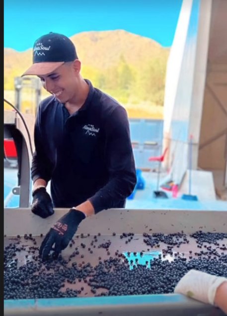 Alexis Sánchez mostró cómo opera su viña Alma Soul