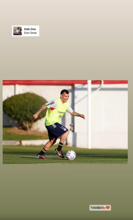Gary Medel destacó su felicidad por entrenar con la Roja