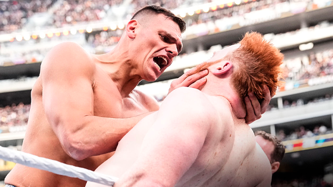 Empresa propietaria de la UFC anunció la adquisición de la WWE