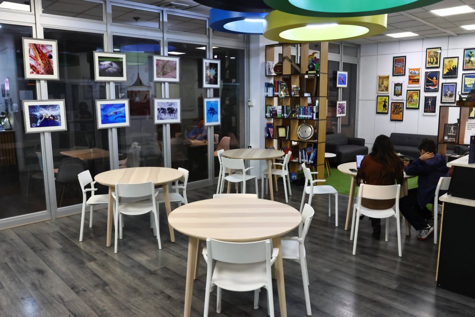 Deportista subacuático del Team Chile montó una galería fotográfica en el CEO “Marlene Ahrens”