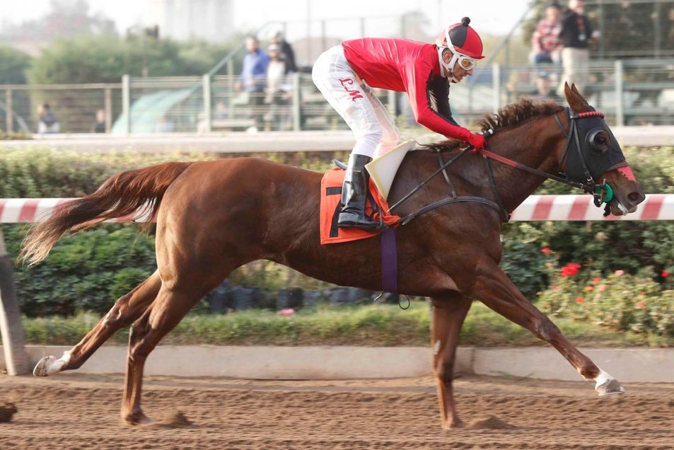 Jinete Juan Muñoz guió a la yegua “La Maru” a conquistar el Clásico Premio Radio Cooperativa