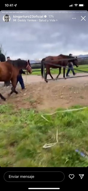 ¿No le queda ninguno? Arturo Vidal lució en redes su gran contingente de caballos