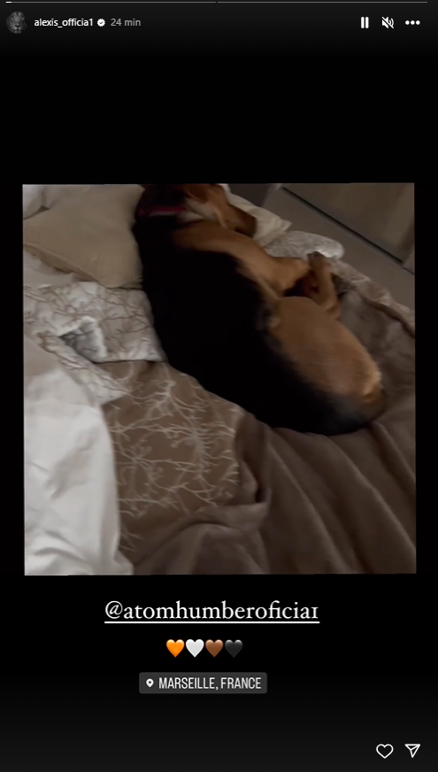 Alexis Sánchez está de vuelta en Marsella a la espera de sellar su futuro