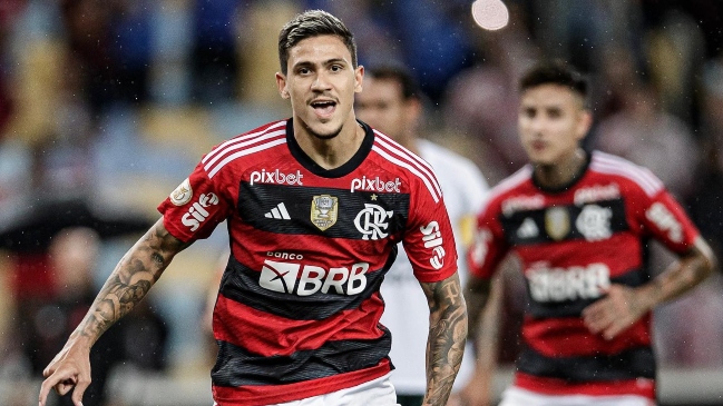 Pedro: Alguien que se cree con derecho a agredir a otro no merece el respeto de nadie