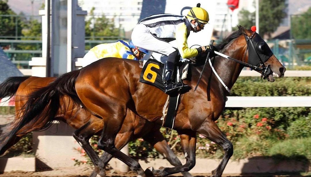 Tardes Deportivas: Repasa toda la actualidad de la hípica nacional en “El Partidor”