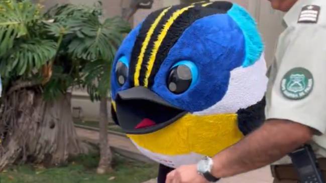 Fiu compartió con menores que están en Cerro Castillo producto de los incendios