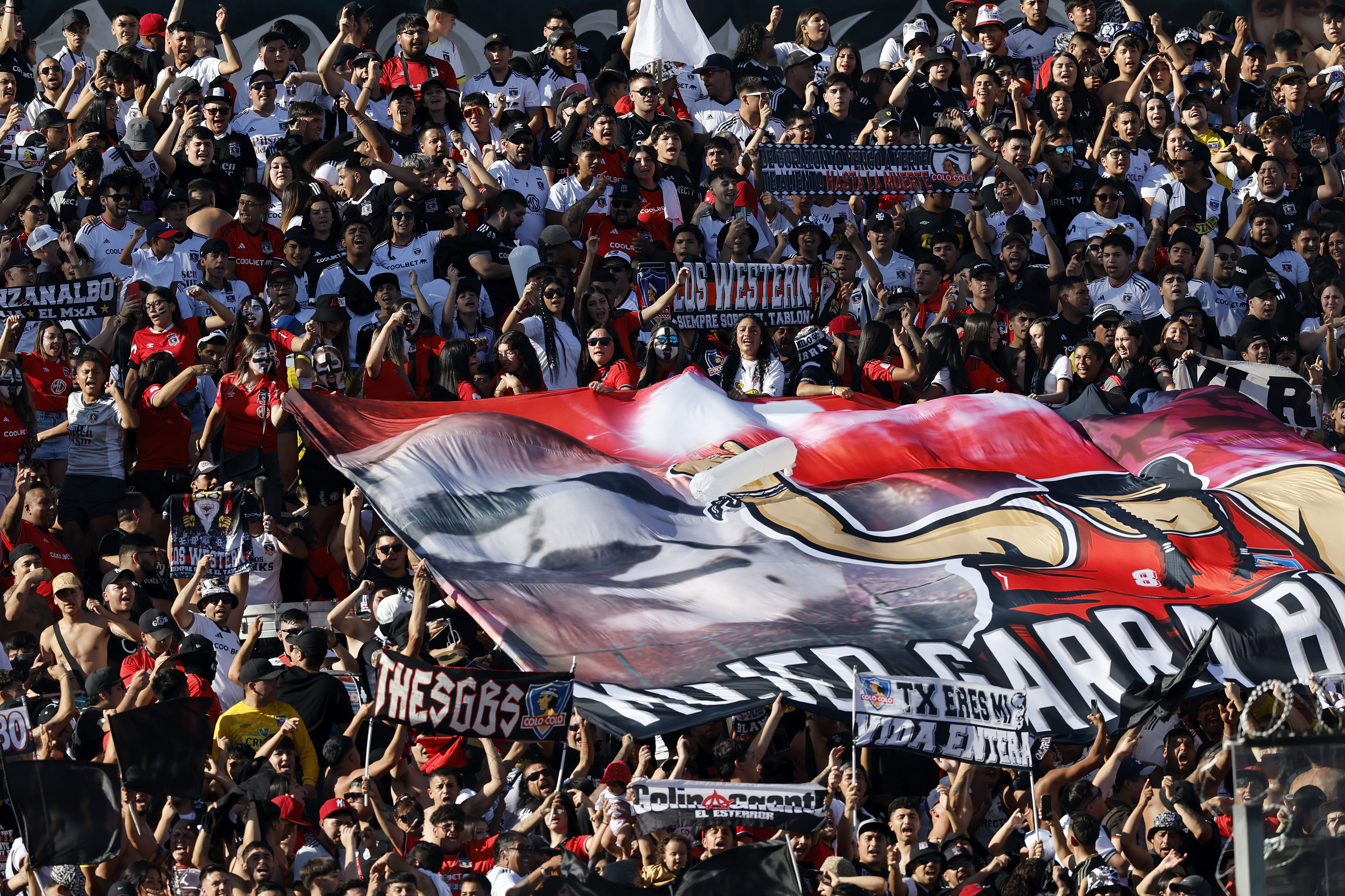 Justicia rechazó recurso interpuesto contra la ANFP por castigo a hinchas de Colo Colo