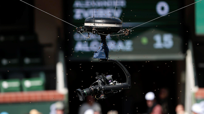 Duelo de Zverev y Alcaraz en Indian Wells fue interrumpido por invasión de abejas
