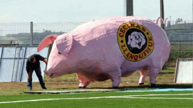 El icónico “Chancho Lorenzo” volverá al Estadio Chinquihue de Puerto Montt