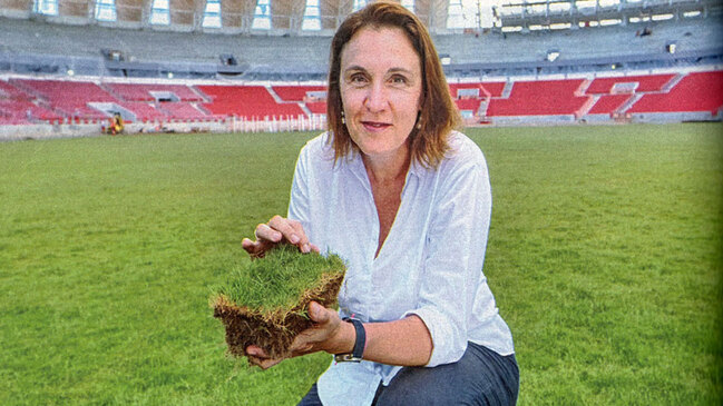 Colo Colo fichó a experta en césped para recuperar la cancha del Monumental