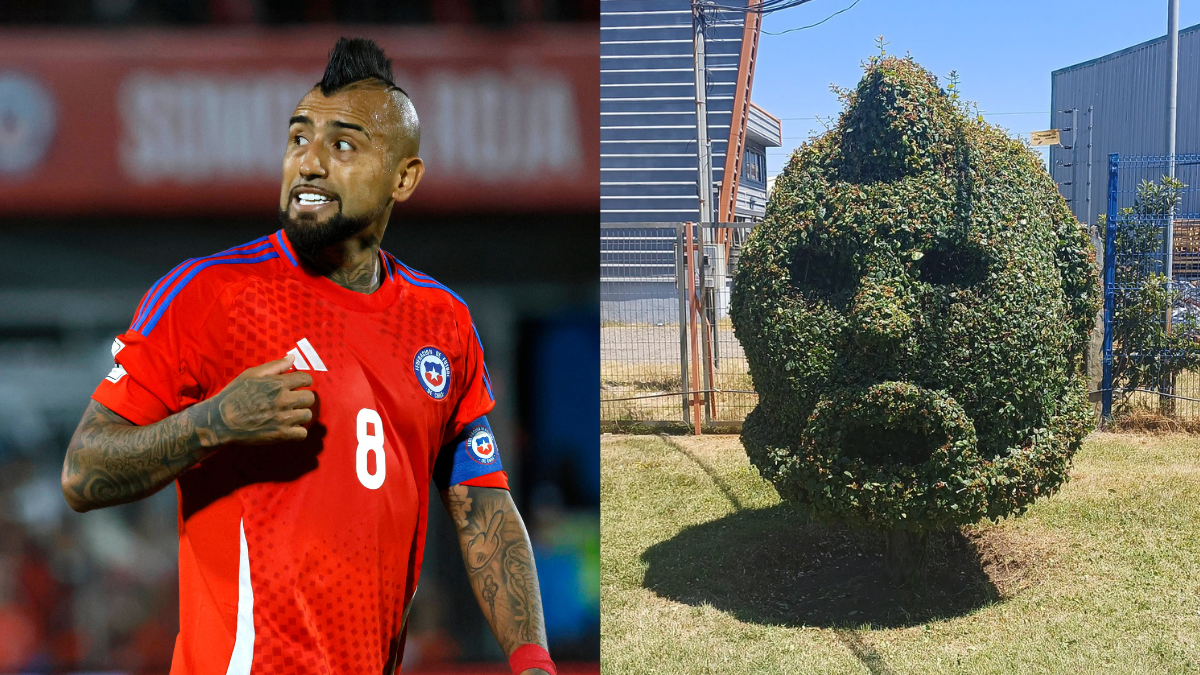 Insólito: queman árbol podado en homenaje a Arturo Vidal