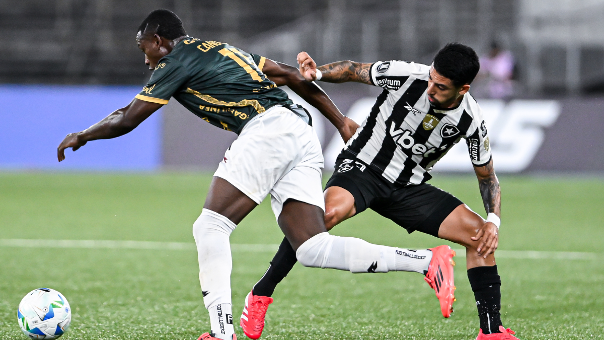 Botafogo 2-0 Carabobo por la Copa Libertadores 2025: resumen goles, resultado y estadísticas