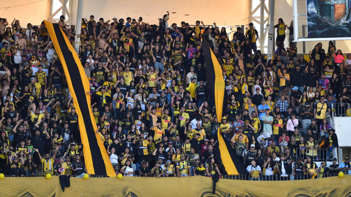 Si no puede nosotros le ayudamos: Coquimbo lanza llamativa campaña para el Registro Nacional de Hinchas