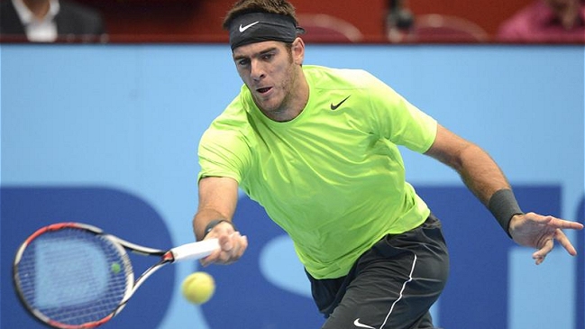 Juan Martín del Potro disputará la final del torneo ATP de Viena