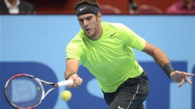 Juan Martín del Potro disputará la final del torneo ATP de Viena