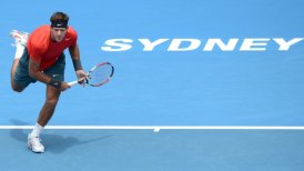 Juan Martín del Potro batió a Stepanek alcanzó las semifinales del ATP de Sydney