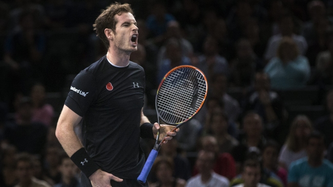 Andy Murray venció a David Ferrer y jugará la final en París-Bercy