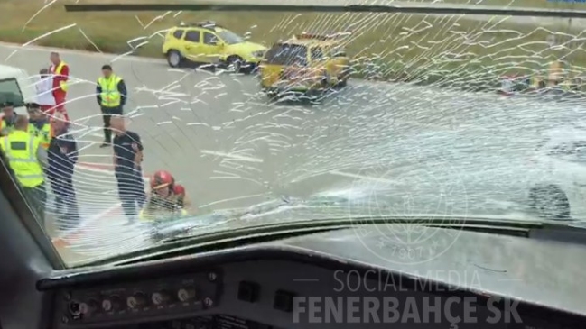 Avión de Fenerbahçe aterrizó de emergencia luego que un pájaro impactara su parabrisas