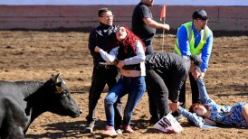 Enfrentamiento entre animalistas y asistentes a rodeo "funó" acto de José Antonio Kast