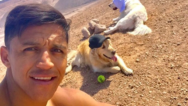 No descansa: El entrenamiento de Alexis junto a sus perros bajo el sol de Tocopilla
