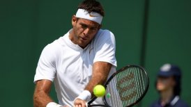 Juan Martín del Potro alcanzó por cuarta vez los octavos de final en Wimbledon