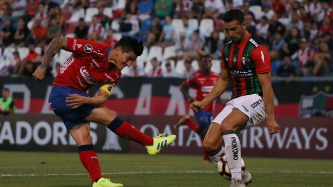 Palestino debuta ante Independiente de Medellín en la segunda fase previa de la Copa Libertadores
