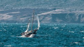 Desafío cabo de Hornos: Velero "Patagonia" se acercó al título tras suspensión de etapa