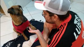Libertadores: Hincha de Flamengo remata entrada para costear tratamiento a su perro