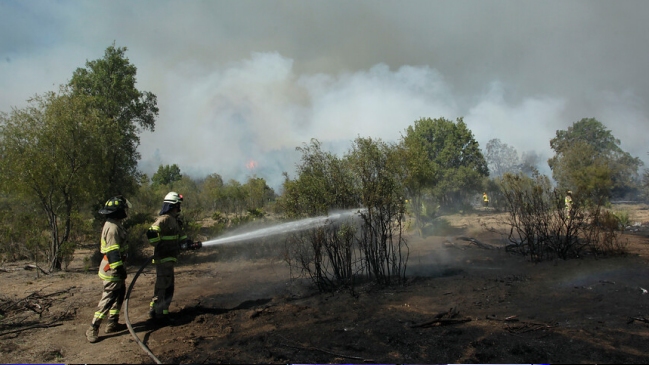 Deportistas del Centro de Entrenamiento Olímpico de Curauma fueron evacuados por el incendio