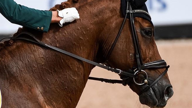 Jinete recibió la sanción más grande en la historia de la hípica por dopaje de su caballo